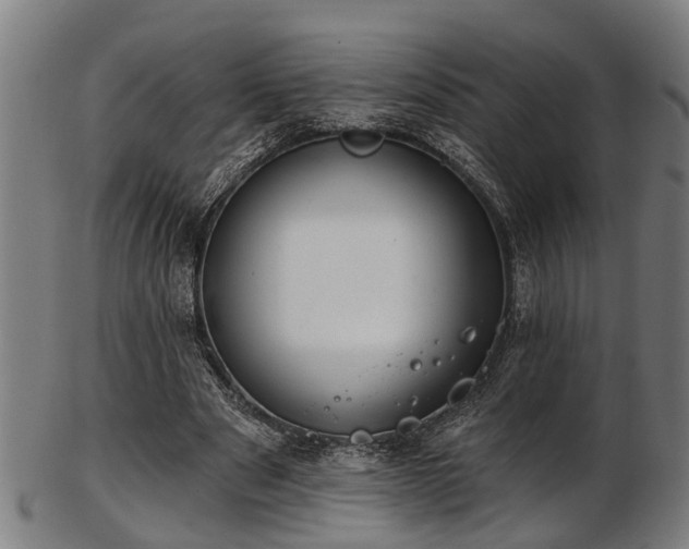 X0000103460489200809121607
