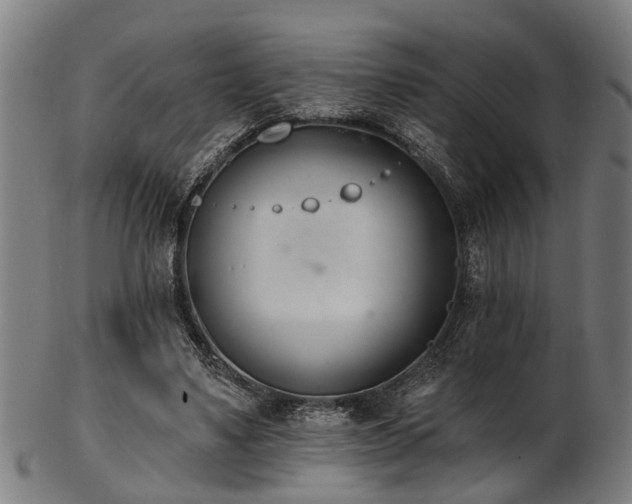 X0000103460491200809121607