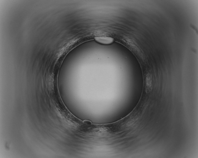 X0000103460492200809121607