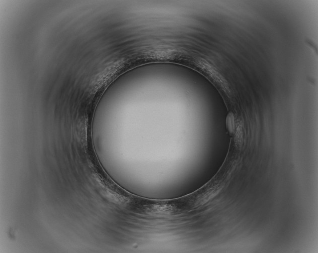 X0000103460493200809121607