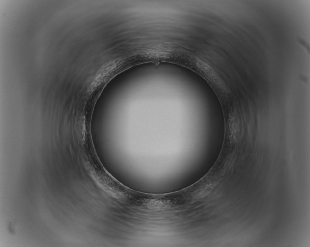 X0000103460494200809121607