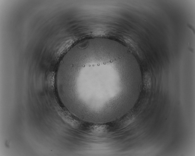 X0000103460495200809121607