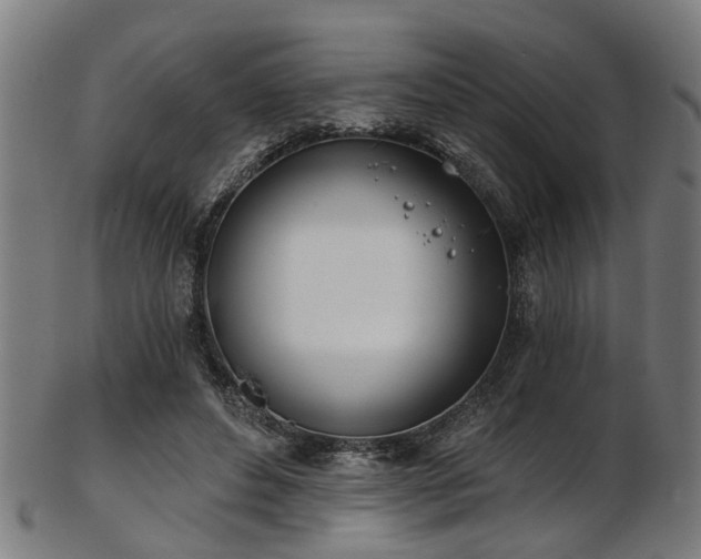 X0000103460496200809121607