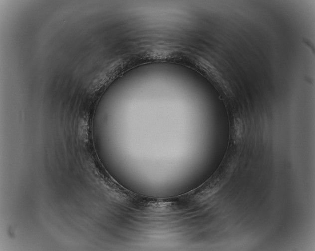 X0000103460497200809121607