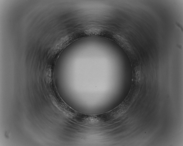 X0000103460498200809121607