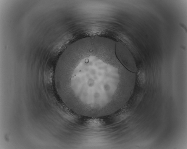 X0000103460499200809121607