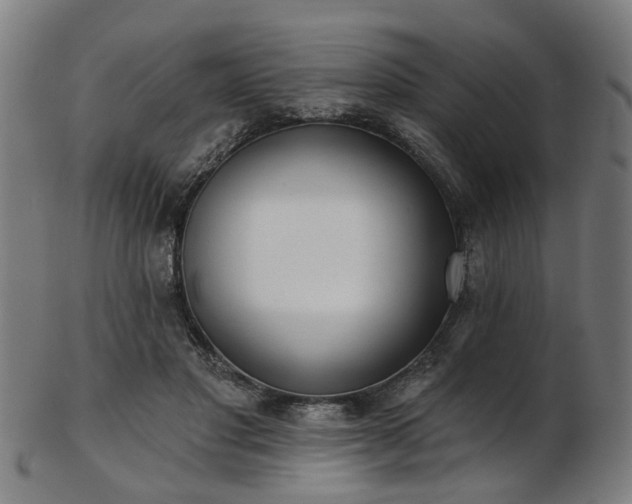 X0000103460501200809121607