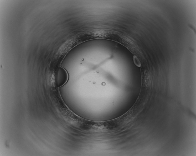 X0000103460502200809121607
