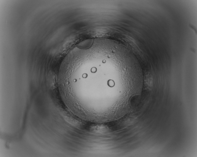 X0000103460503200809121607