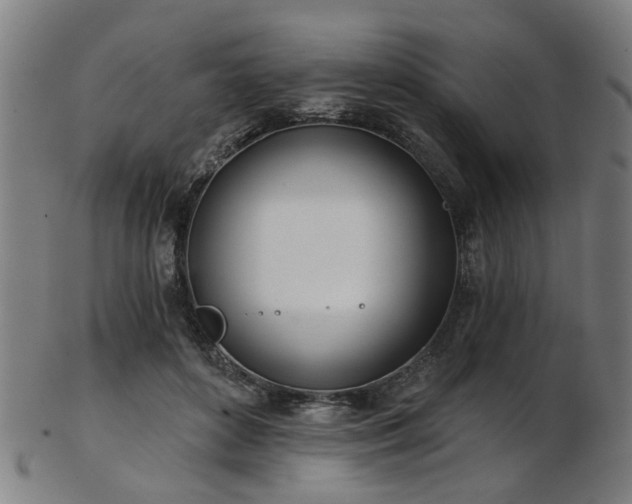 X0000103460504200809121607