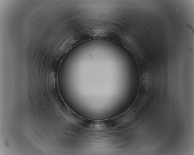 X0000103460506200809121607