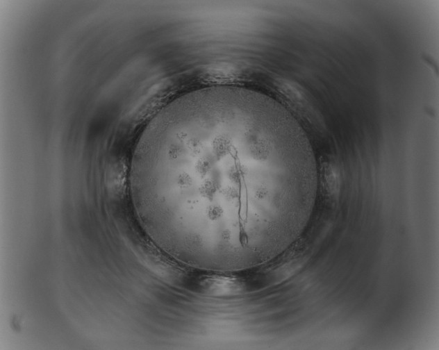 X0000103460507200809121607