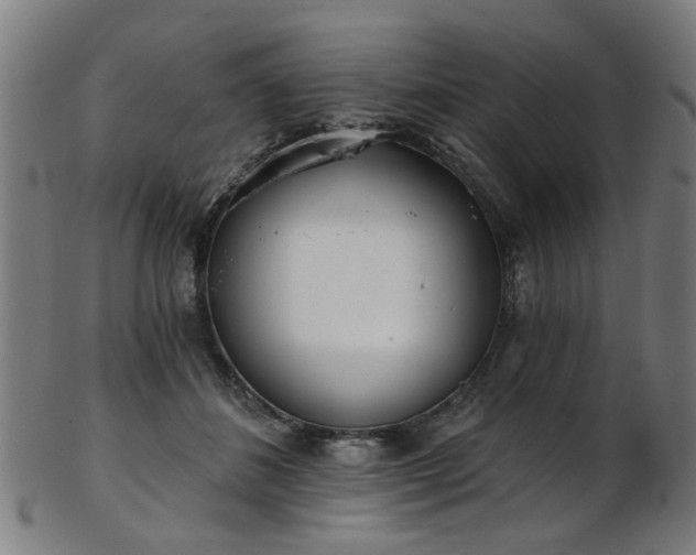 X0000103460508200809121607