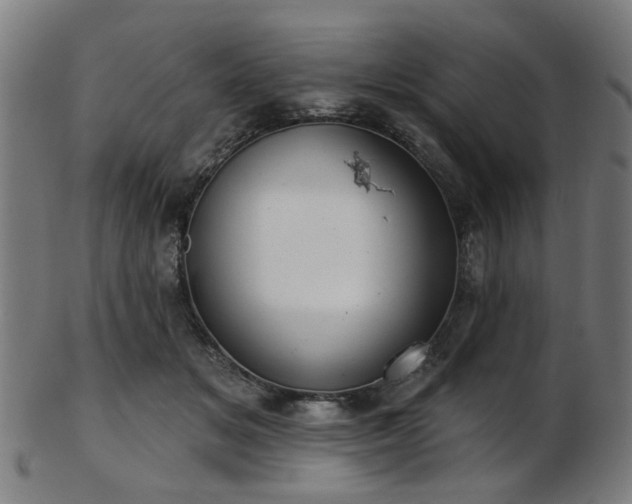 X0000103460509200809121607