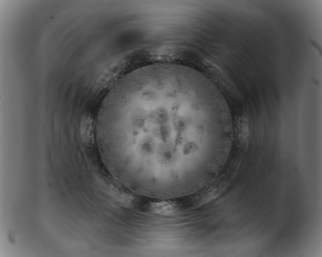 X0000103460511200809121607