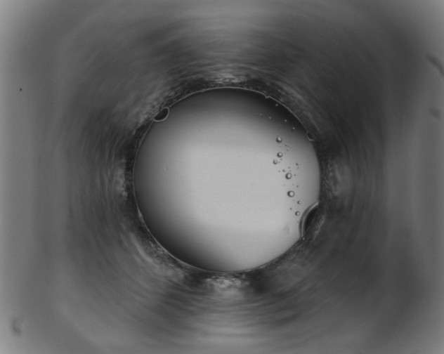 X0000103460512200809121607