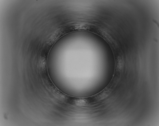 X0000103460513200809121607
