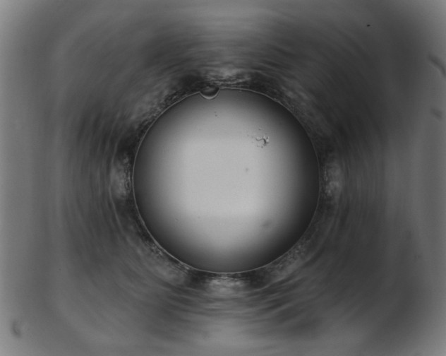 X0000103460515200809121606