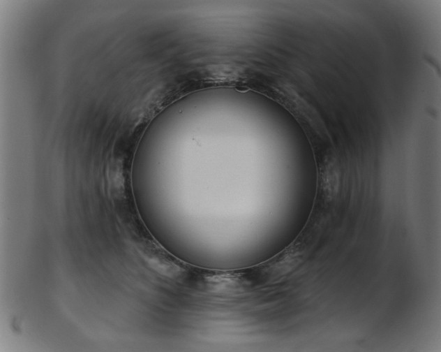 X0000103460516200809121606