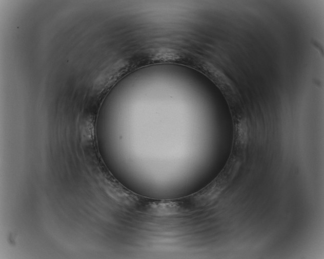 X0000103460517200809121606
