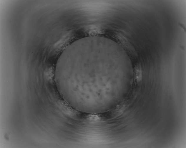 X0000103460519200809121606