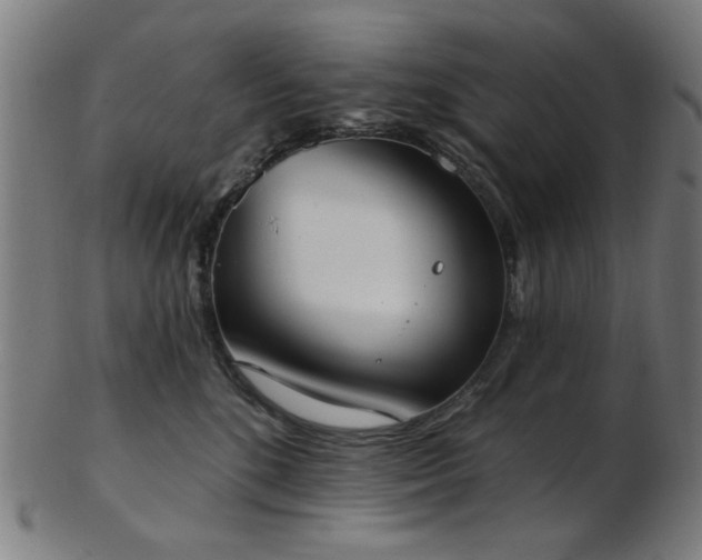 X0000103460520200809121606