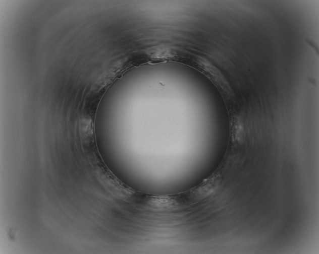 X0000103460521200809121606