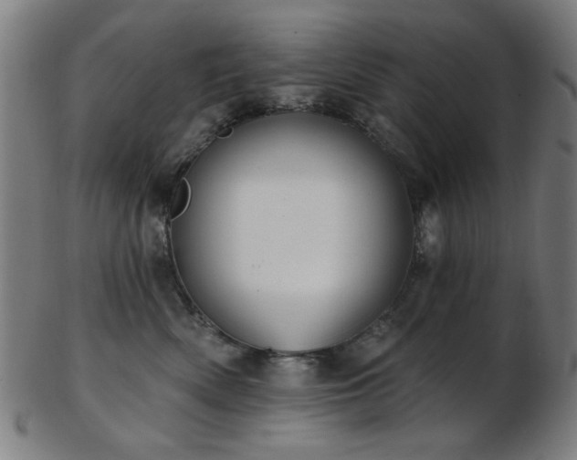X0000103460522200809121606