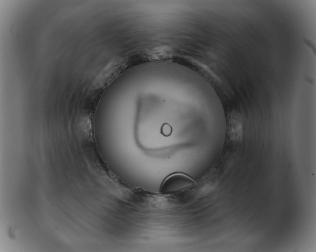 X0000103460523200809121606