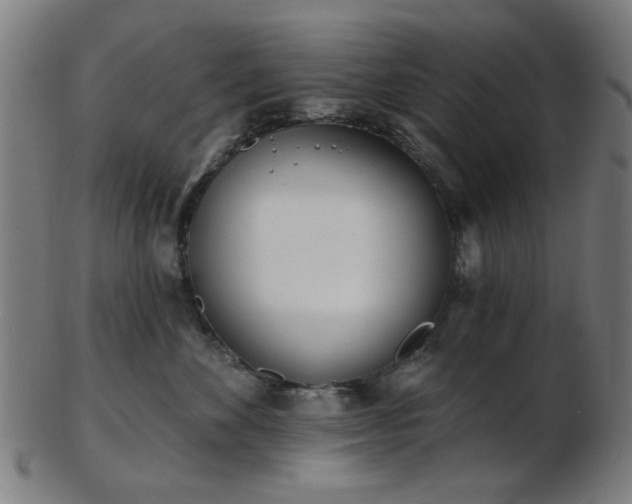 X0000103460524200809121606