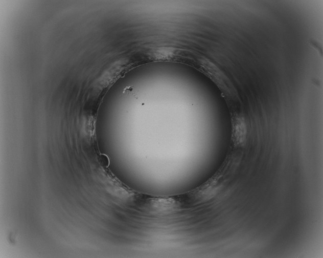 X0000103460525200809121606
