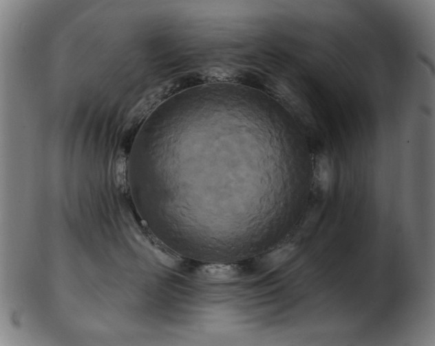 X0000103460526200809121606
