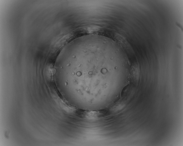 X0000103460527200809121606