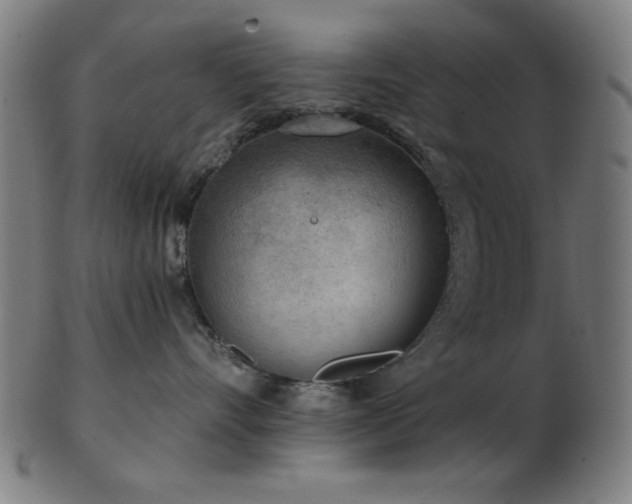 X0000103460528200809121606