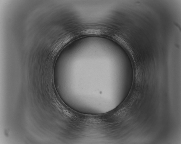 X0000103460529200809121605