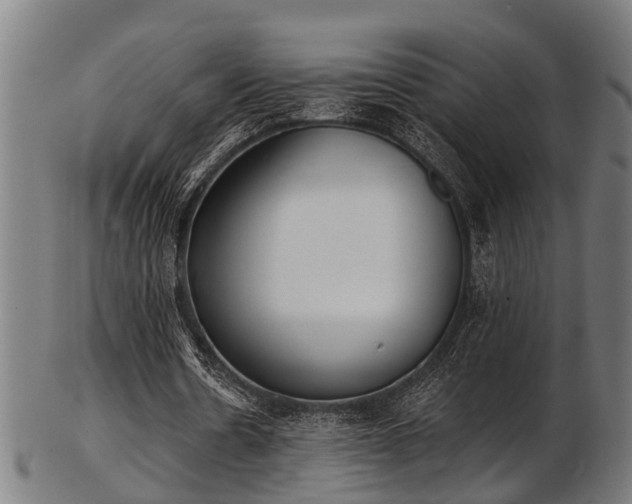 X0000103460530200809121605