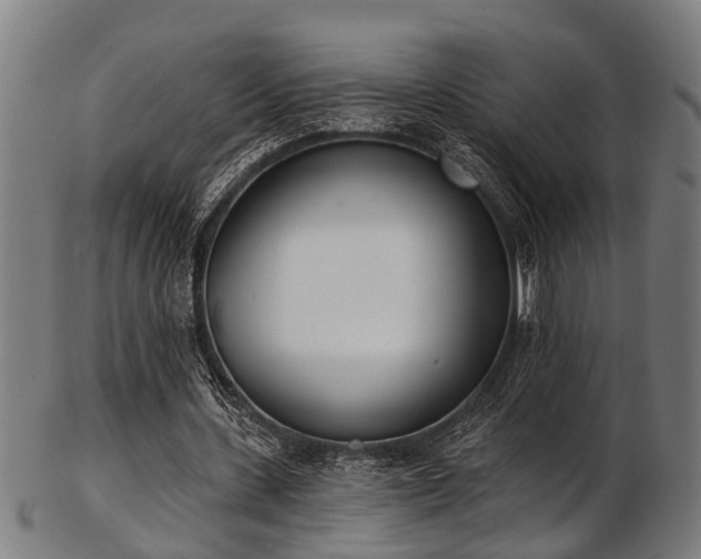 X0000103460531200809121605