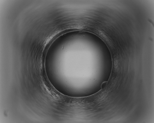 X0000103460532200809121605