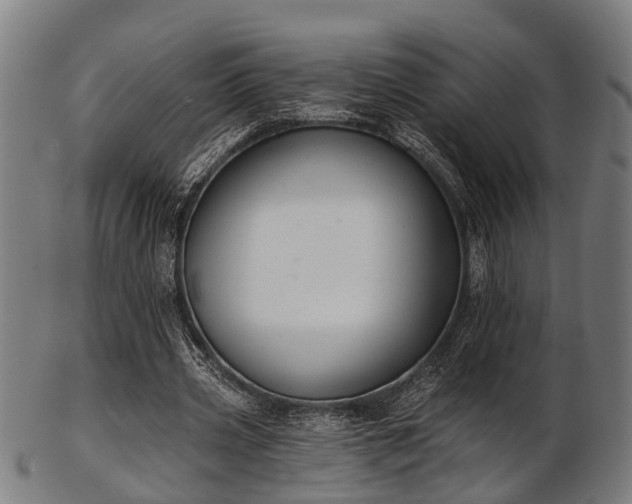 X0000103460533200809121606