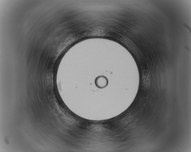 X0000103460534200809121606