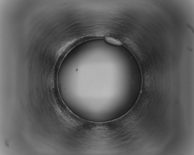 X0000103460536200809121606