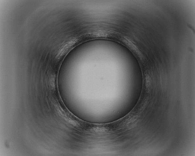X0000103460537200809121606