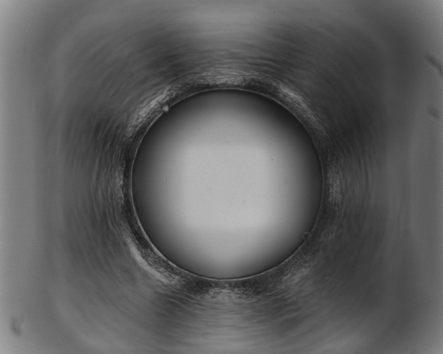 X0000103460538200809121606