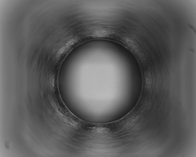 X0000103460539200809121606
