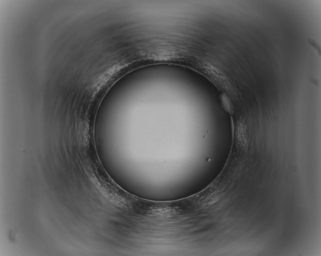 X0000103460540200809121606