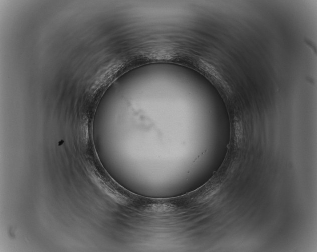 X0000103460541200809121606