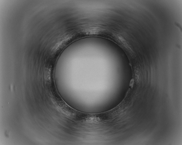 X0000103460543200809121606