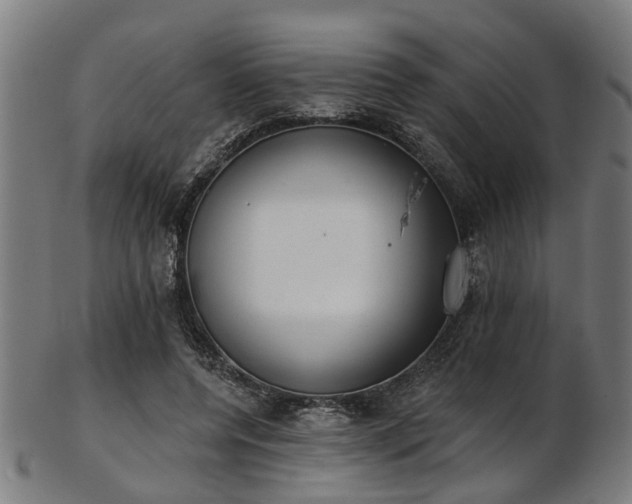 X0000103460544200809121606