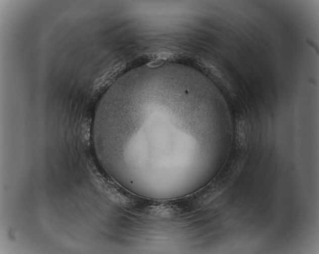 X0000103460545200809121606