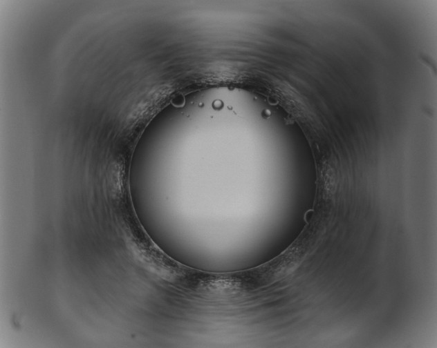X0000103460546200809121606